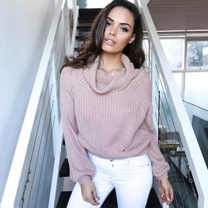 The Knit Sweater Solid Color