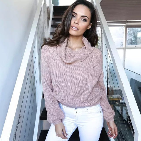The Knit Sweater Solid Color